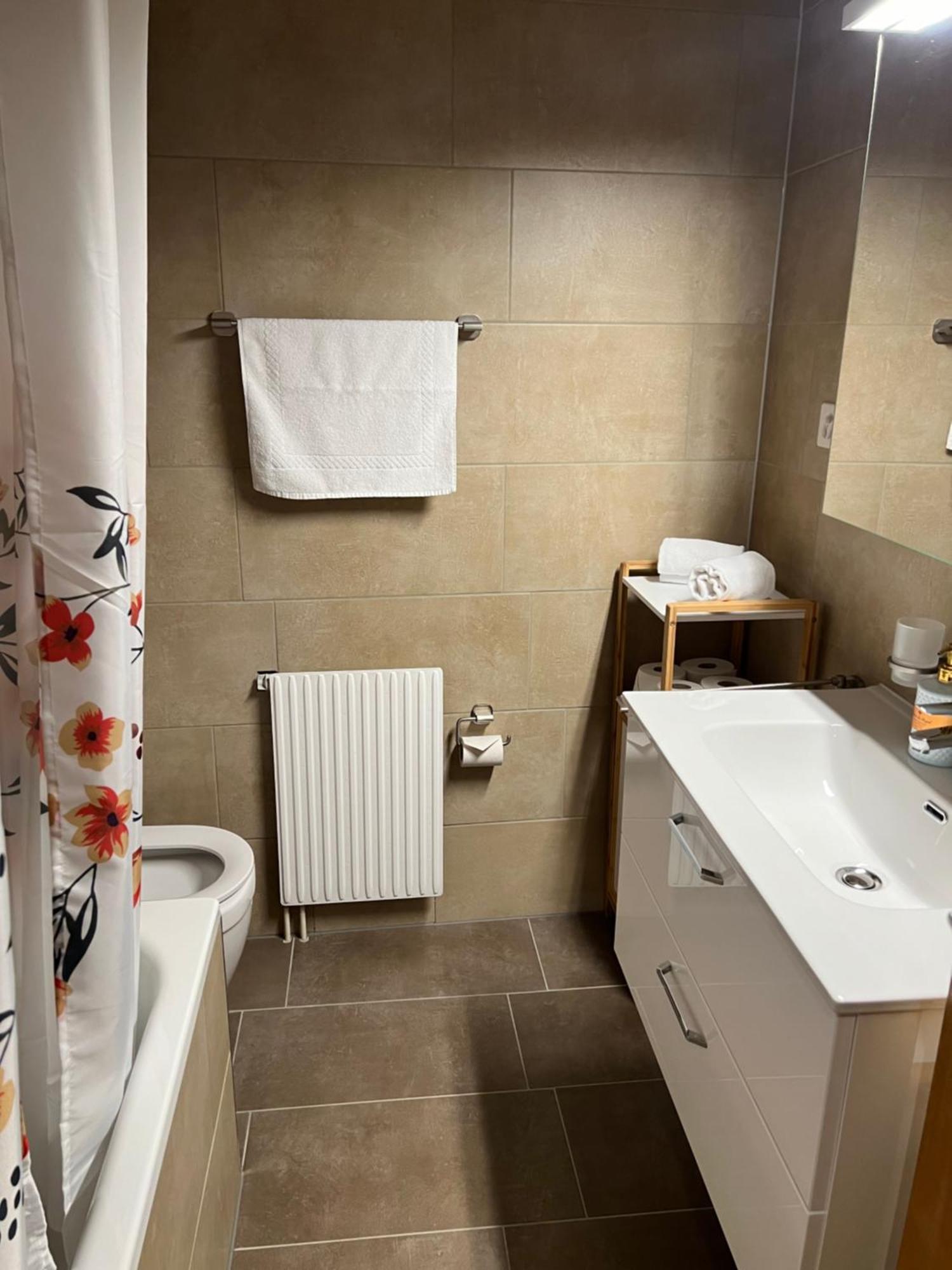 Apartament Rosy インターラーケン エクステリア 写真