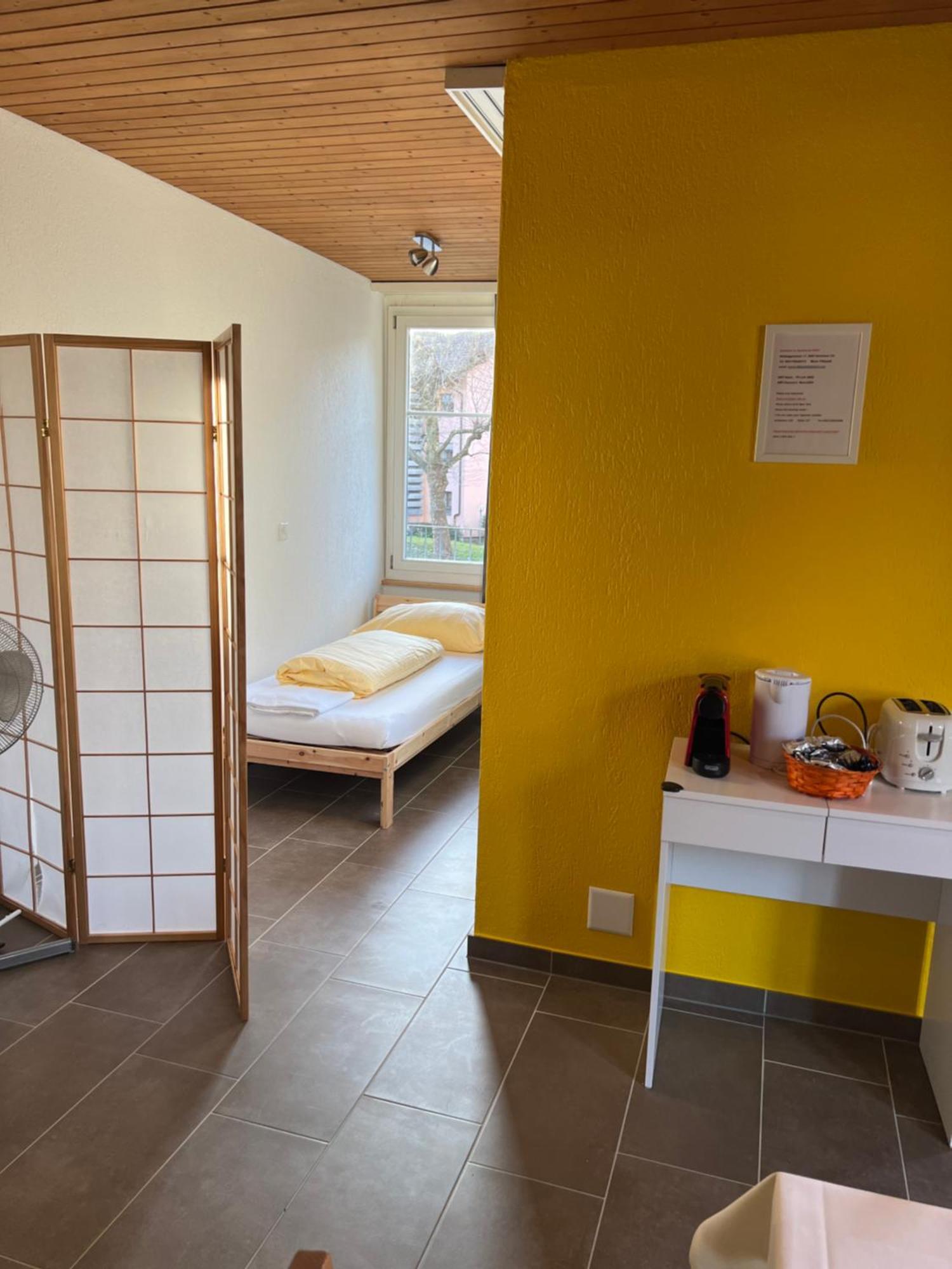 Apartament Rosy インターラーケン エクステリア 写真